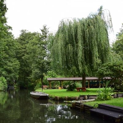 竞彩足球模拟投注下载